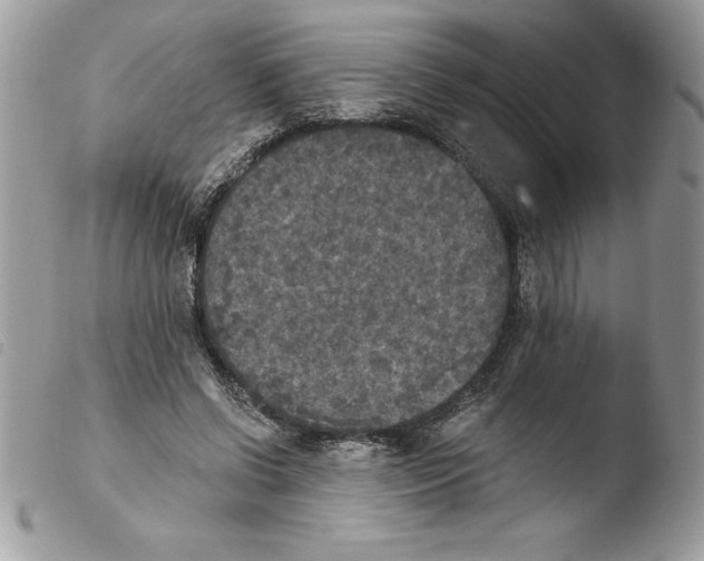 X0000103950542200810171840