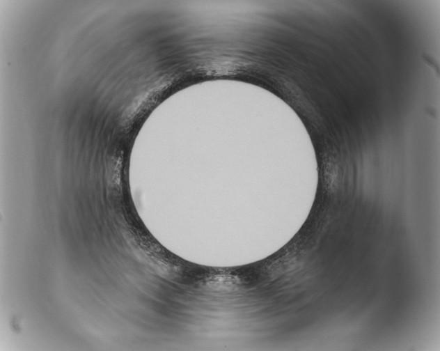 X0000103950543200810171841