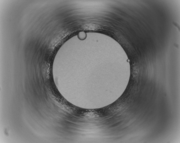 X0000103950544200810171841