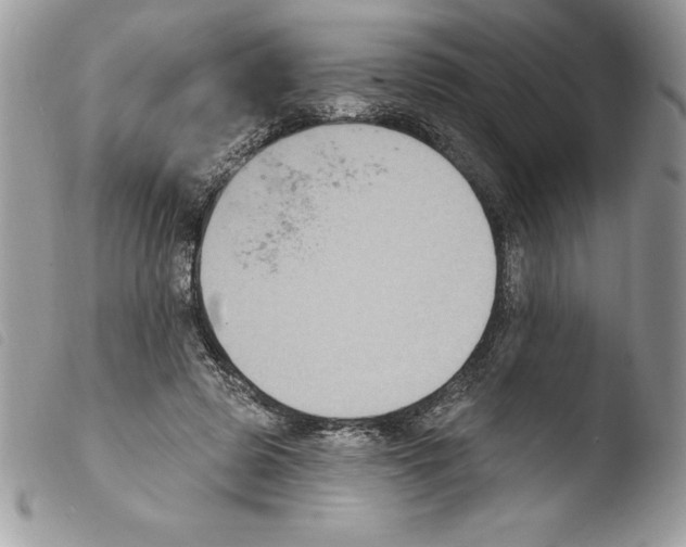 X0000103950545200810171841