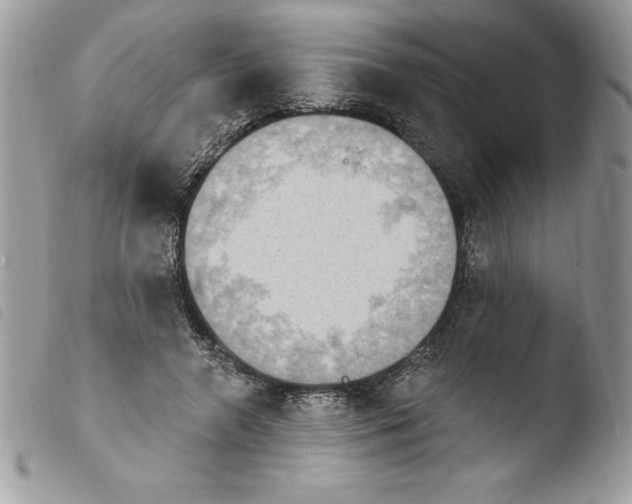 X0000103950546200810171841