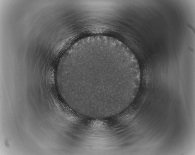 X0000103950547200810171841