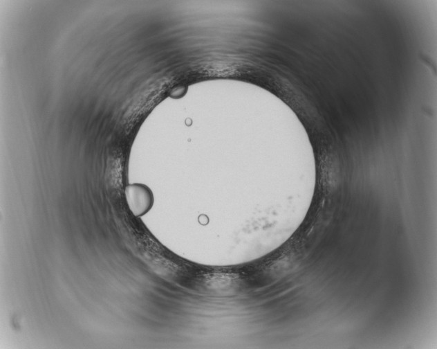 X0000103950549200810171841
