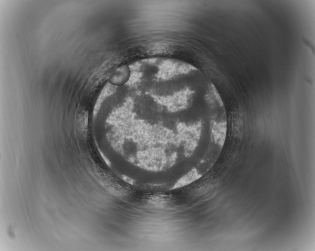 X0000103950550200810171841