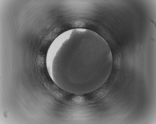 X0000103950551200810171841