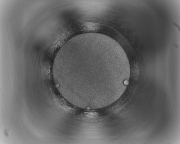 X0000103950552200810171841