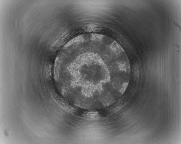 X0000103950554200810171841
