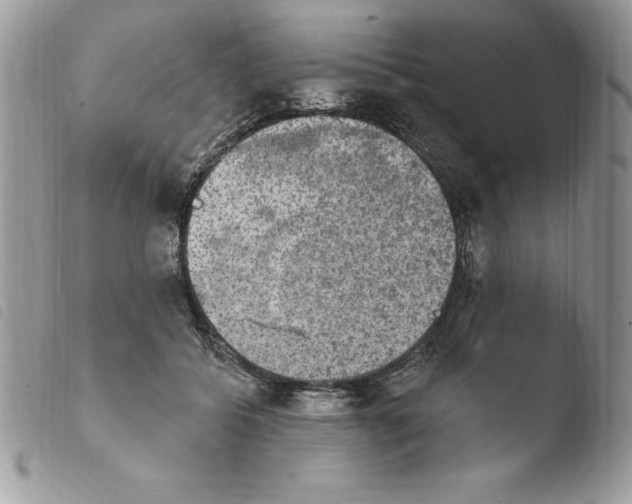 X0000103950556200810171841
