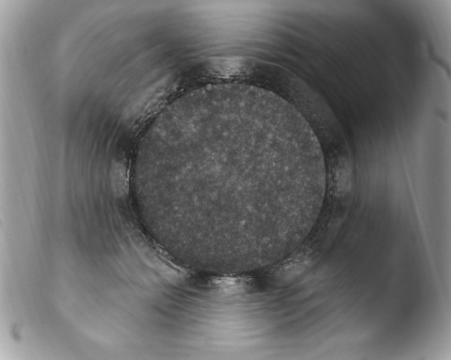 X0000103950558200810171841