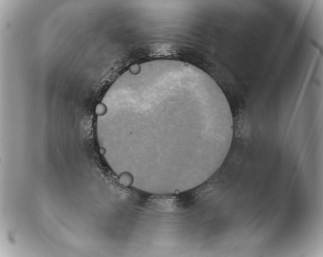 X0000103950560200810171841