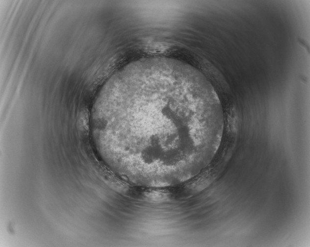X0000103950561200810171841