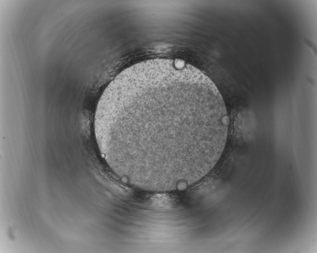 X0000103950562200810171841