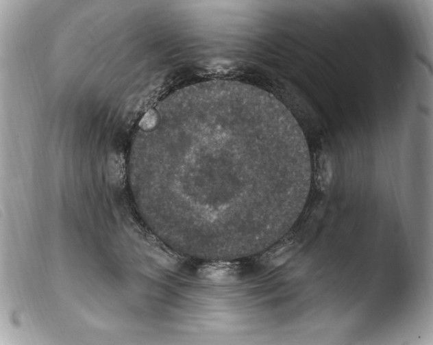 X0000103950563200810171841