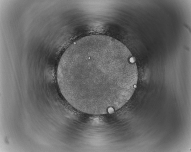 X0000103950564200810171841