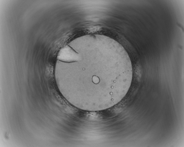 X0000103950565200810171841
