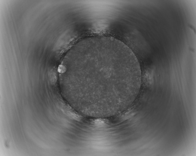 X0000103950566200810171841