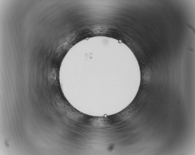 X0000103950567200810171841