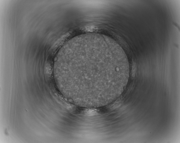 X0000103950569200810171841