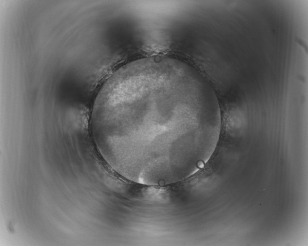 X0000103950570200810171841