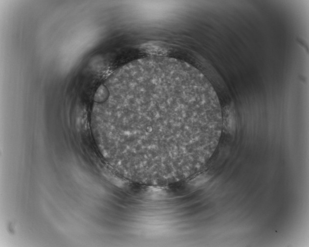 X0000103950573200810171841