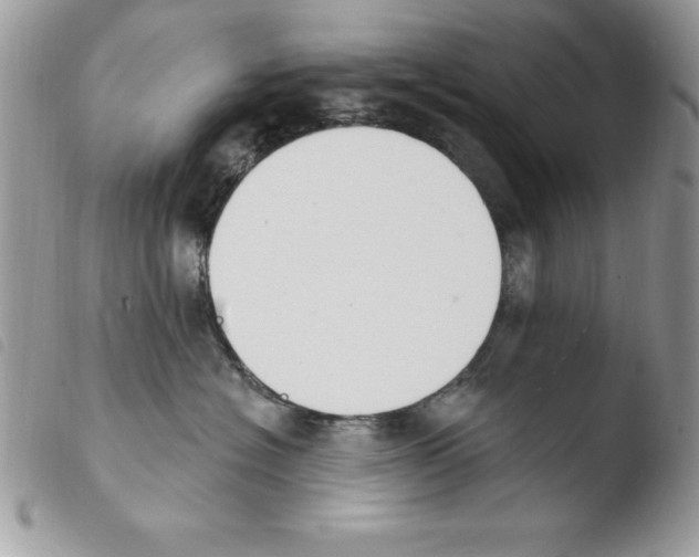 X0000103950574200810171841
