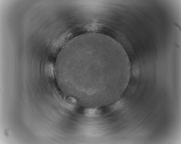 X0000103950575200810171841