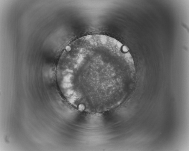 X0000103950576200810171841