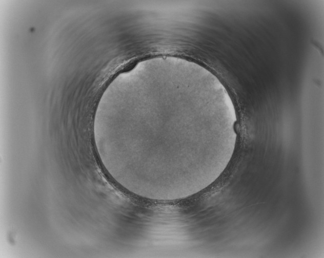 X0000103950577200810171840
