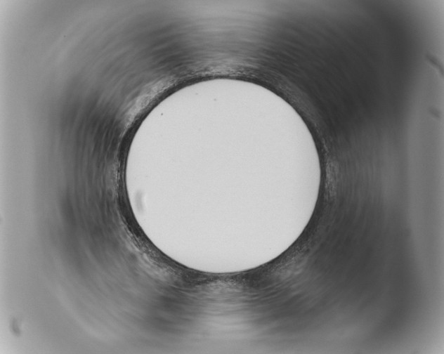 X0000103950578200810171840