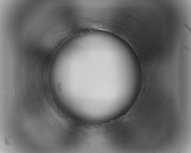 X0000103950579200810171840