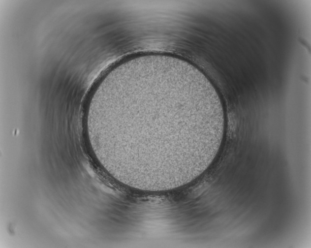 X0000103950580200810171840