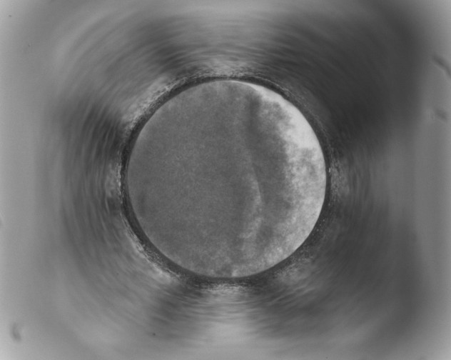 X0000103950581200810171840