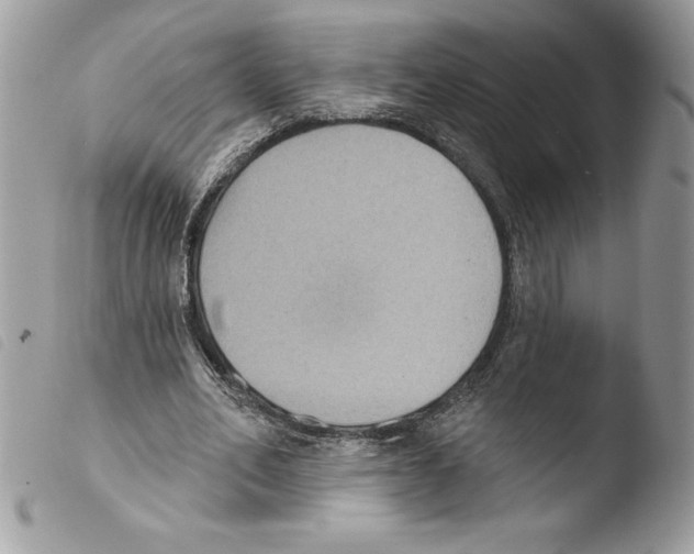X0000103950582200810171840