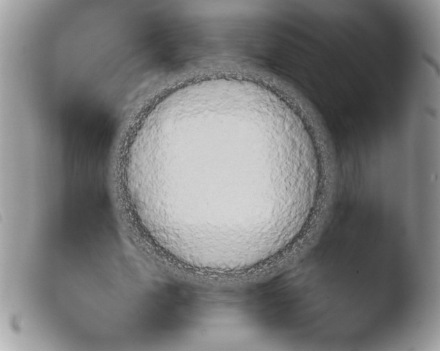 X0000103950583200810171840