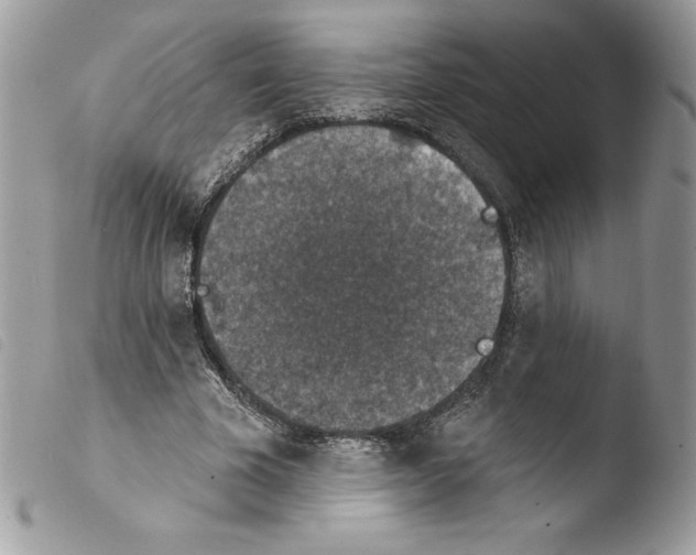 X0000103950585200810171840