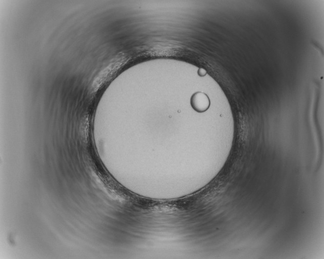 X0000103950586200810171840