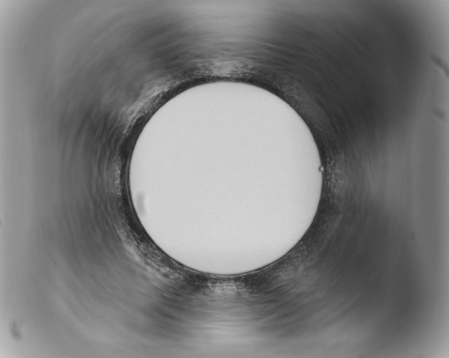 X0000103950587200810171840