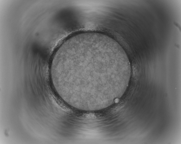 X0000103950588200810171840