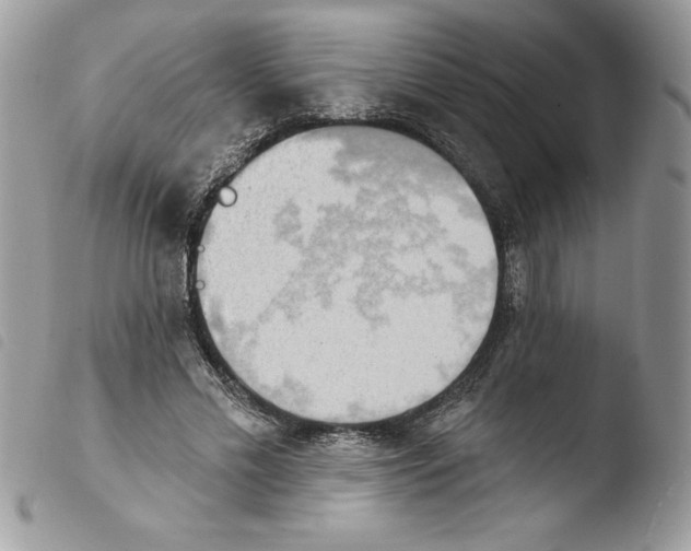 X0000103950589200810171840