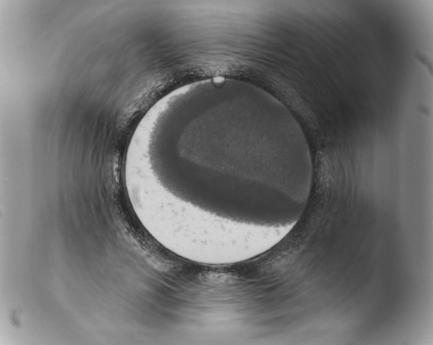 X0000103950590200810171840