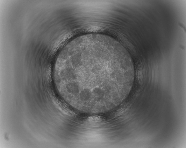 X0000103950591200810171840