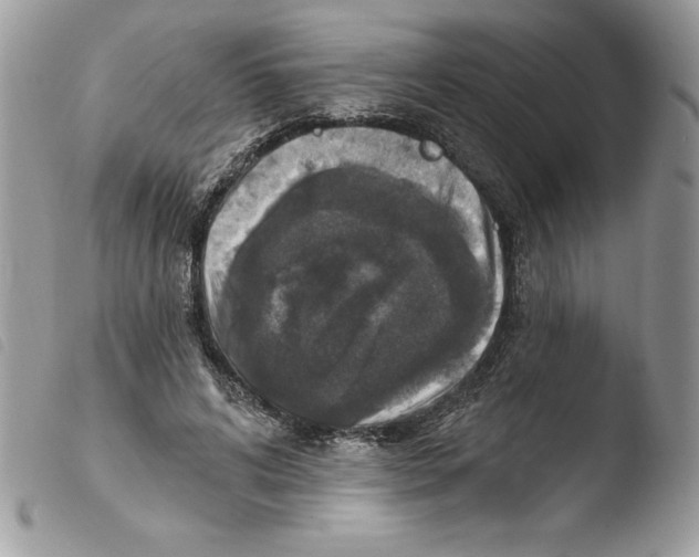 X0000103950592200810171840