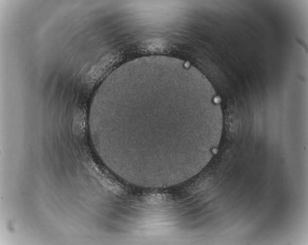 X0000103950593200810171840