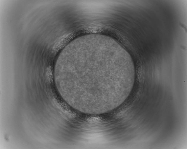 X0000103950594200810171840