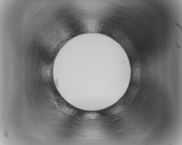 X0000103950595200810171840