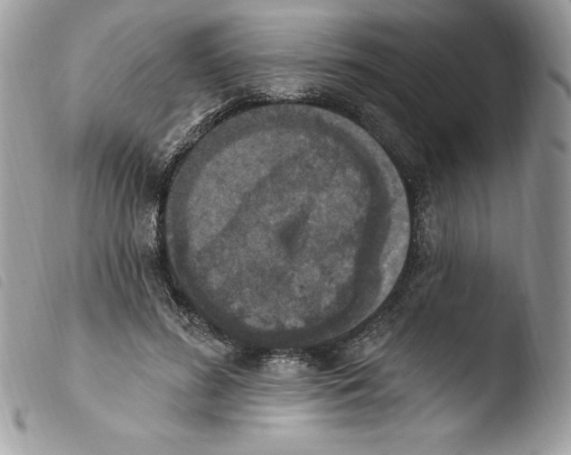X0000103950596200810171840