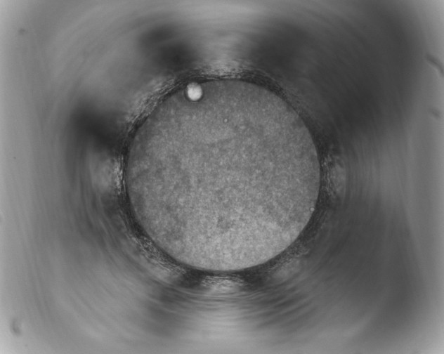 X0000103950597200810171840