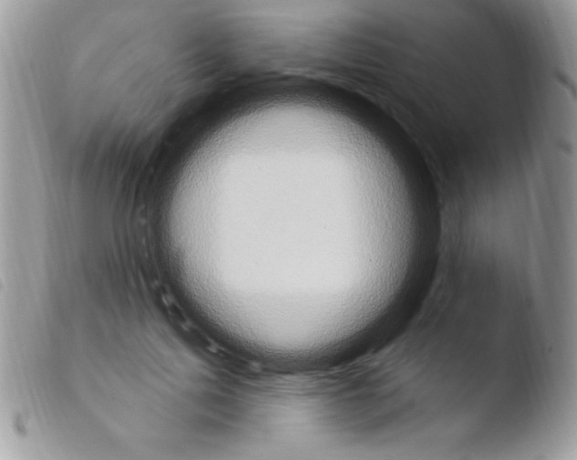 X0000103950599200810171840