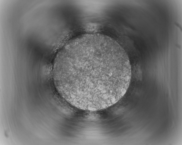 X0000103950601200810171840