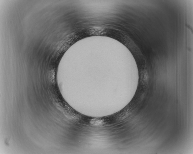 X0000103950602200810171840